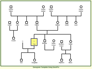 Family Genogram Symbols